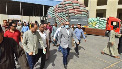 صوامع أسيوط تتسلم 131 ألف طن قمح محلي منذ بداية الموسم 