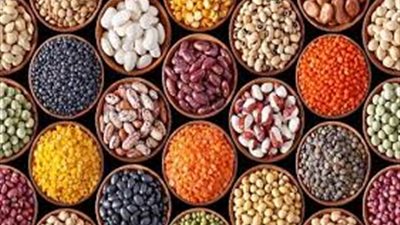 أسعار البقوليات اليوم الأحد 29-5-2022 في الدقهلية 