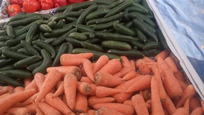 تعرف على أسعار الخضار والفاكهة بالمعارض الدائمة في الإسماعيلية 