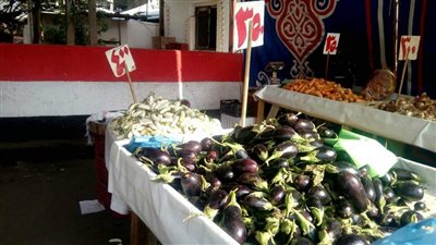 لمحاربة الغلاء.. افتتاح منفذ خضروات وفاكهة بأسعار مخفضة بحي شمال الجيزة | صور 