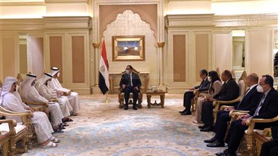 تشكيل فرق عمل من مصر والإمارات لصياغة الاتفاقيات حول مشروعات الطاقة الجديدة