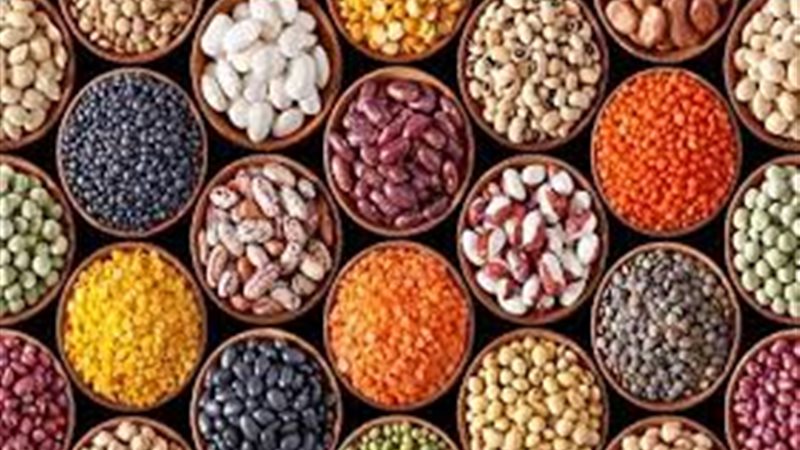 أسعار البقوليات