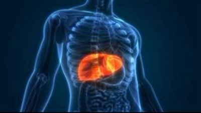 التهاب الكبد الغامض يضرب من جديد.. الصحة العالمية: الفيروس اخترق 650 طفلا