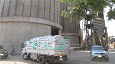 توريد 132 ألف طن قمح لمواقع التخزين بالغربية