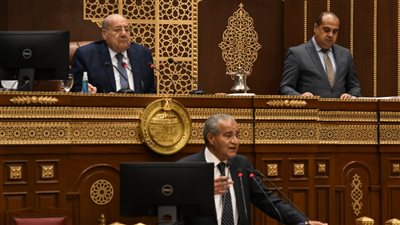 وزير التموين: سعر طن القمح ارتفع لـ 480 دولارا.. ونستورد 50% من استهلاكنا