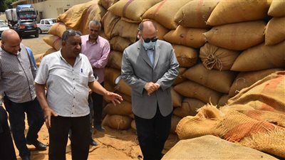 شون وصوامع أسيوط تستقبل 137 ألف طن قمح محلي منذ بداية الموسم 