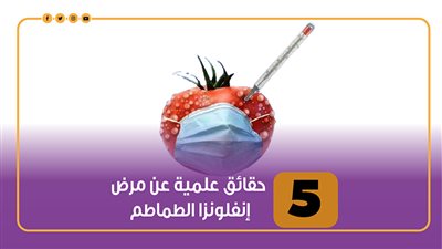 5 حقائق علمية عن مرض إنفلونزا الطماطم |انفوجراف