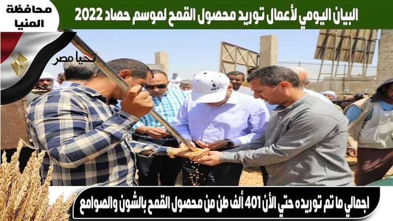 قمح المنيا