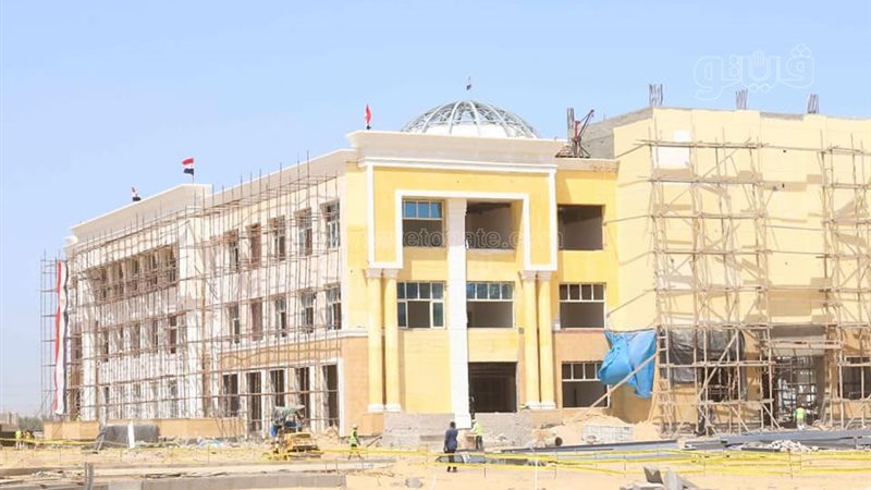 جامعة المنصورة الأهلية