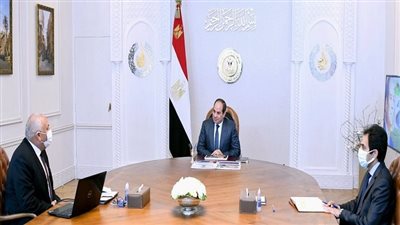 شاهد.. السيسي يتابع الموقف التنفيذي للمشروعات الاستراتيجية المختلفة في الوادي الجديد