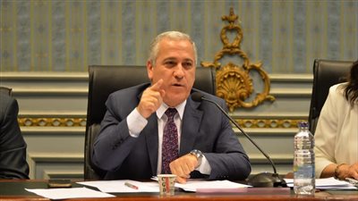 وسط توقعات باستمرار الشوربجي، إجراءات أداء رئيس الوطنية للصحافة اليمين أمام البرلمان