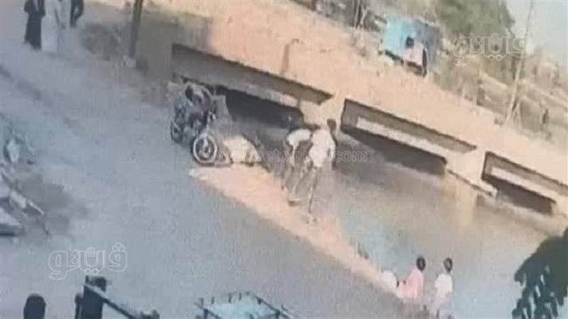 لحظة القاء شاب غزالة