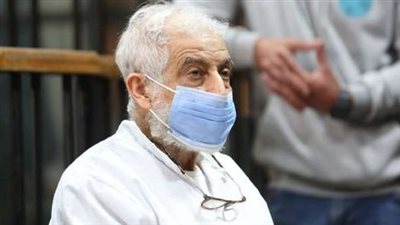  المؤبد لمحمود عزت «الناب الأزرق للإخوان» و3 سنوات لـ حنين حسام ومحمد الأمين.. أبرز قضايا أنهى فيها القضاء الجدل