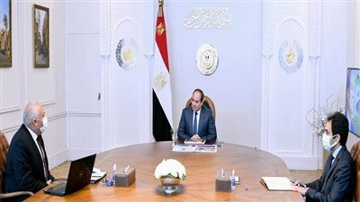 7 معلومات عن جهود المبادرة الرئاسية لزراعة 2.5 مليون نخلة بالوادي الجديد