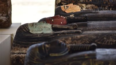 الآثار: نقل محتويات الكشف الأثري الجديد بسقارة للمتحف المصري الكبير | صور