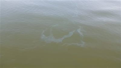  ظهور بقعة سولار أمام مأخذ محطة مياه شطورة بسوهاج