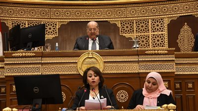 يتبع رئيس الجمهورية.. الشيوخ يوافق على إنشاء صندوق قادرون باختلاف