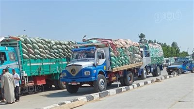 بنسبة 79% من المستهدف.. توريد 177 ألف طن قمح لشون وصوامع بني سويف