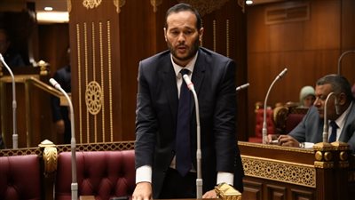 النائب محمد حلاوة: لقاء الرئيسين السيسي وبايدن خلال قمة جدة يعكس تقدير الإدارة الأمريكية لمصر