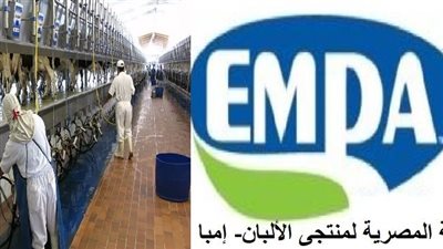 جمعية منتجي الألبان تعلن عن خطة تشجيع الاستثمار بمشروعات الثروة الحيوانية