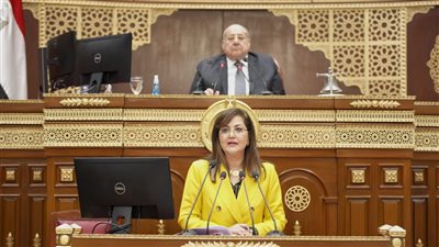وزيرة التخطيط أمام الشيوخ: خطة 22/2023 تراعي الاستحقاقات الدستورية.. 22.8 مليار جنيه بالاتصالات.. 45.9 مليار جنيه استثمارات للخدمات الصحية
