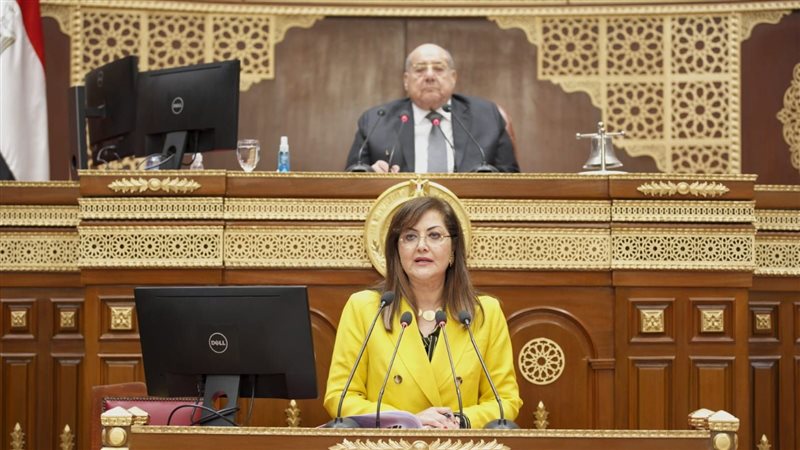 وزيرة التخطيط أمام