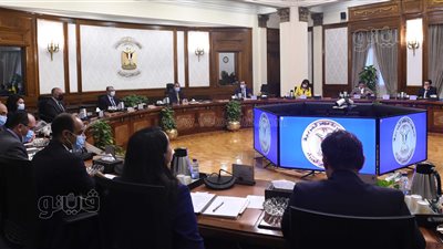 رئيس الوزراء يستعرض مقترح خطة المساهمات الوطنية للمجلس الوطني للتغيرات المناخية