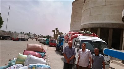 توريد 92 ألف طن و851 كيلو أرز شعير من المزارعين في الدقهلية 