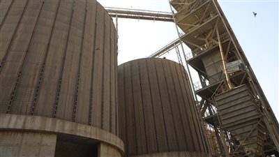 تحرير 31 محضرا للمزارعين الممتنعين عن توريد القمح فى المنوفية