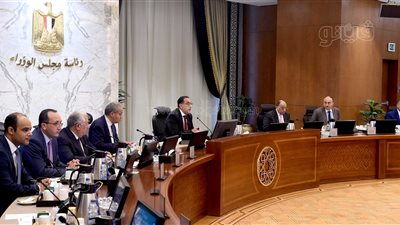 قرار عاجل لرئيس الوزراء بشأن من يحتفظ بالقمح أو يورده لغير الدولة