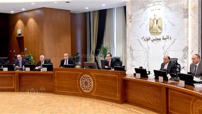 رئيس الوزراء: أصدرنا قرارا بمنع تداول القمح حتى آخر أغسطس