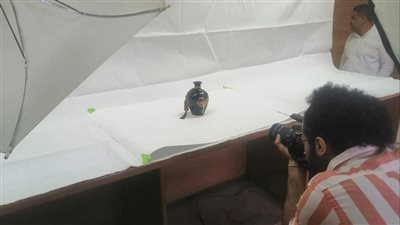جلسة تصوير احترافية للمنتجات اليدوية والتراثية ضمن  مبادرة أيادي مصر بالإسماعيلية
