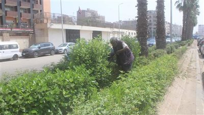 رفع 8542 طن مخلفات في حملة نظافة بأحياء الجيزة | صور