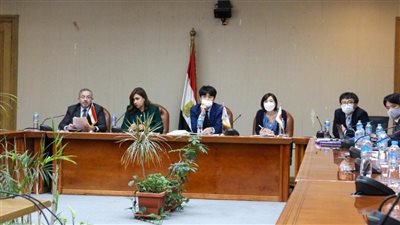 المالية: تحقيق حلم المصريين في الرعاية الصحية الشاملة لكل الأسرة بخبرات يابانية
