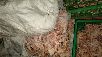 ضبط 46 طن لحوم ودواجن ودهون حيوانية فاسدة بالجيزة | صور