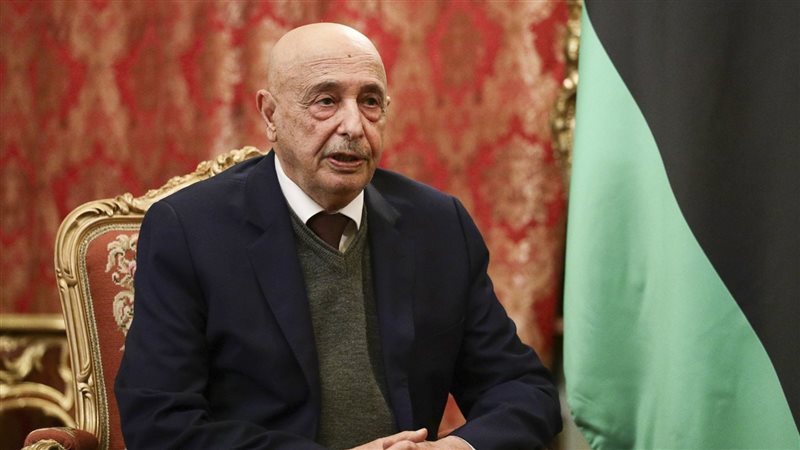 عقيلة صالح، فيتو