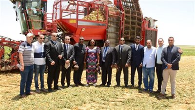 الشرقاوي: القطاع الخاص الزراعي يحقق طفرة في إنتاج البنجر 