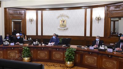 الحكومة توافق على حوافز تحالف أوراسكوم لبدء مشروع توليد الكهرباء من طاقة الرياح