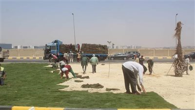 رفع 7206 أطنان مخلفات بأحياء الجيزة | صور