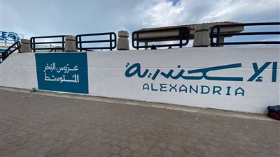  أزمة شاطئ النخيل تثير الخلافات بالبرلمان.. وتوصيات بنقل الولاية للإسكندرية