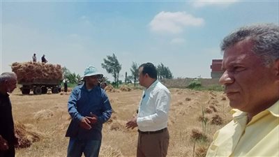 لجان ميدانية بالإسماعيلية لحث المزارعين على توريد القمح | صور