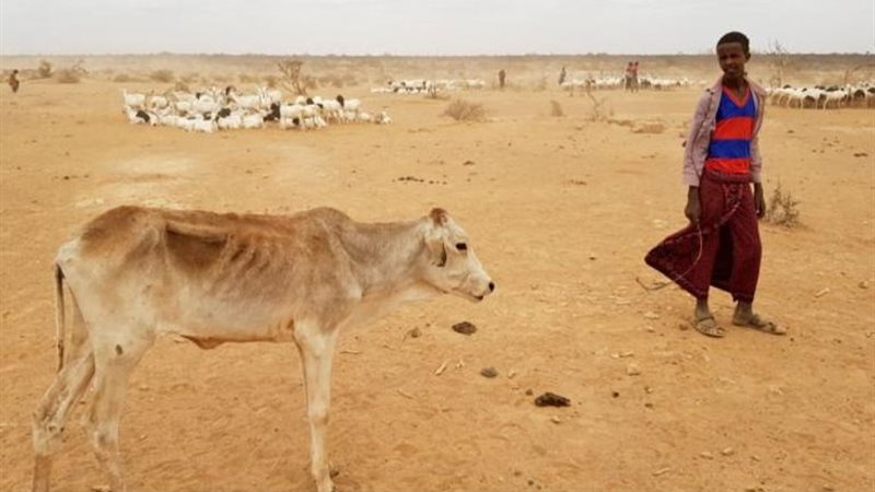 الجوع يهدد حياة مئات