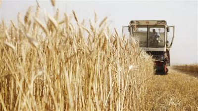 حرب الحبوب تشتعل.. توقف صادرات الهند يفاقم الأزمة.. خطر المجاعة العالمية يتزايد.. والأنظار تتوجه إلى أستراليا