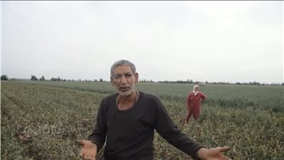 السجن عام لتاجر مبيدات مغشوشة في بسيون بالغربية 