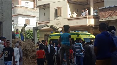 مفاجأة في مجزرة ميت تمامة.. الأب يرفض اتهام زوجته بقتل أطفاله والأم تكشف الكواليس