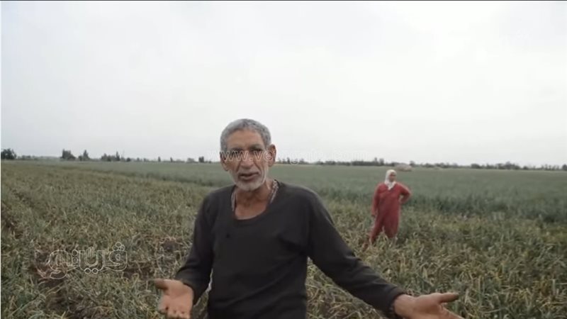السجن عام لتاجر مبيدات