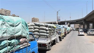 شون وصوامع المنيا تستقبل 436 ألف طن قمح