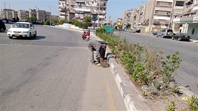  رفع القمامة وتشميع محلات مخالفة وإصلاح أعمدة الإنارة ببورسعيد | صور 