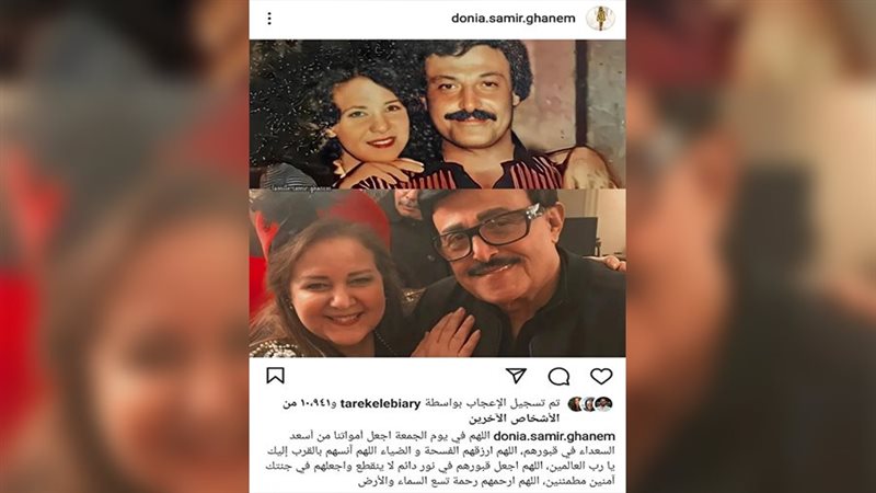 دلال عبد العزيز وسمير