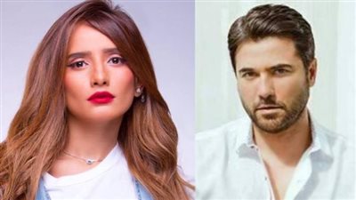 اليوم.. الحكم في دعوى الفنانة زينة لزيادة نفقتها من أحمد عز